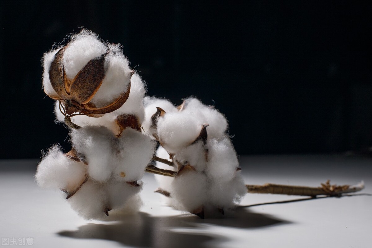 美国旺季将延迟到年后，看来跨境人还有机会！春节前高峰舱位紧张